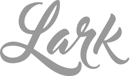 Lark logo